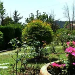 Rose Garden