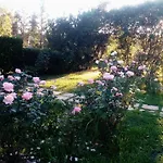 Rose Garden Agios Ioannis (Corfu)