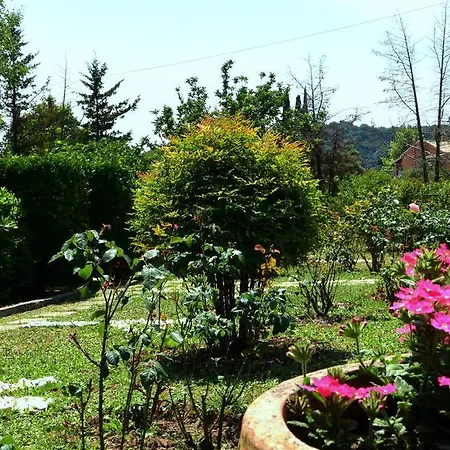 Rose Garden