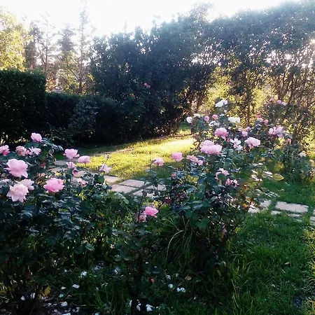 Rose Garden Ágios Ioánnis