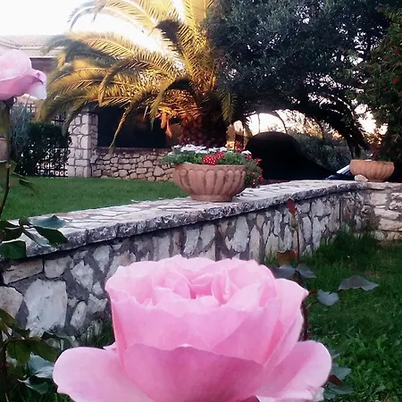 Rose Garden דירה Ágios Ioánnis
