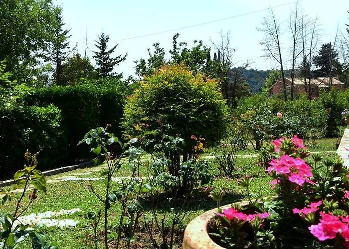 Rose Garden