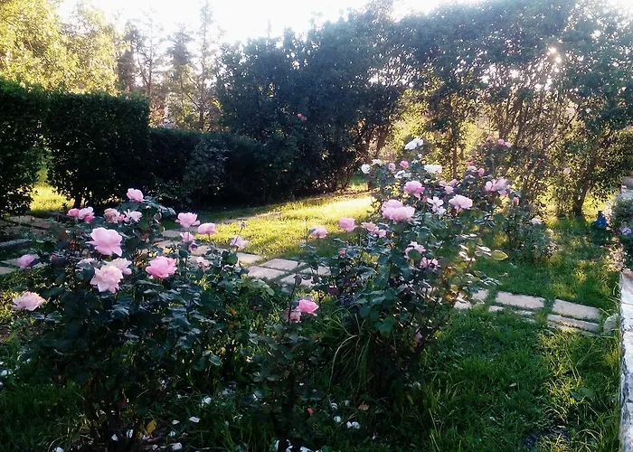 Rose Garden Agios Ioannis (Corfu)