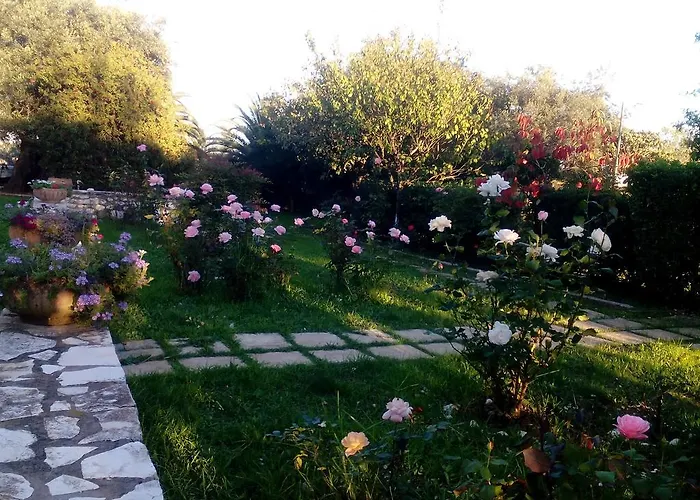 Rose Garden *