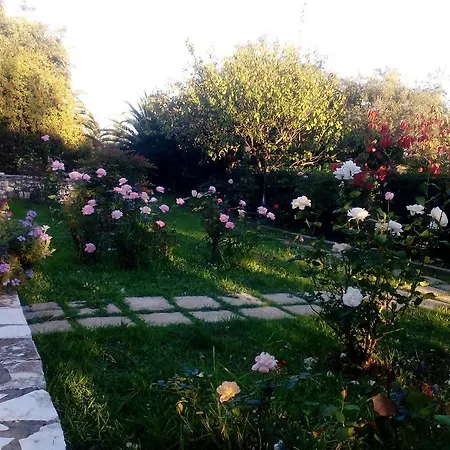 Rose Garden *